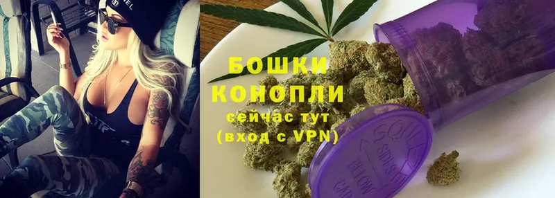 наркотики  ссылка на мегу маркетплейс  Марихуана White Widow  Александров 